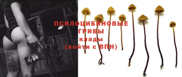 таблы Россошь