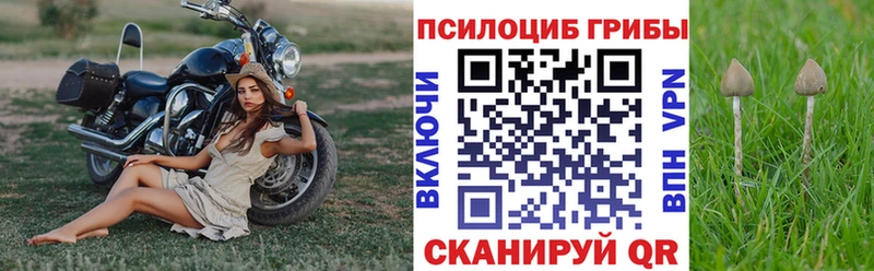 Псилоцибиновые грибы мухоморы  Тарко-Сале 